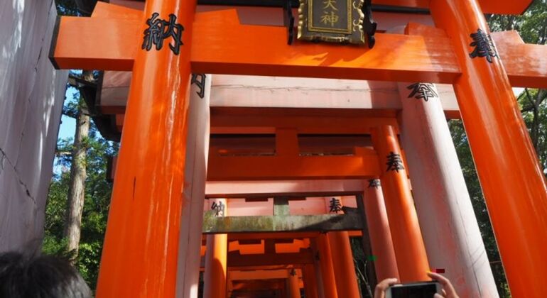 Kimono Tour in Kyoto