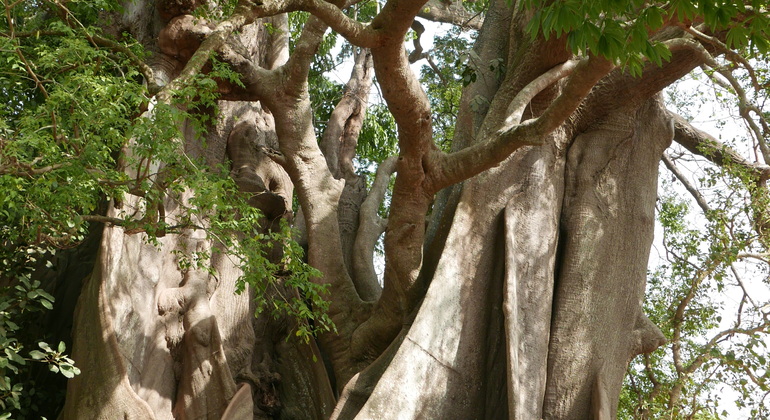 Casamance Wandertour