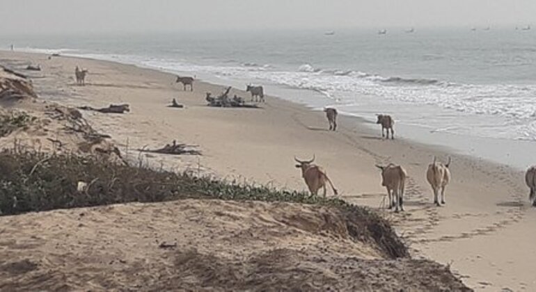 Casamance Wandertour