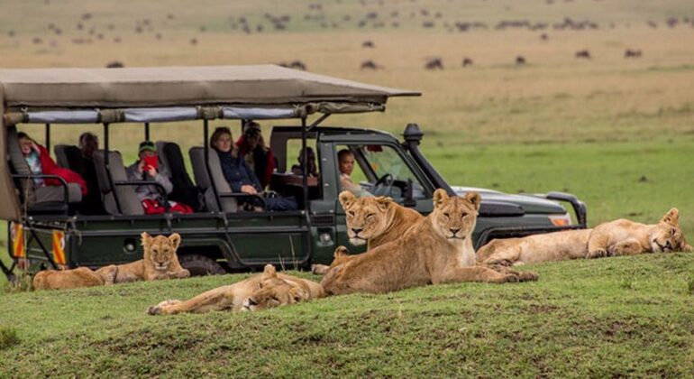 Tour zum Maasai Mara National Park