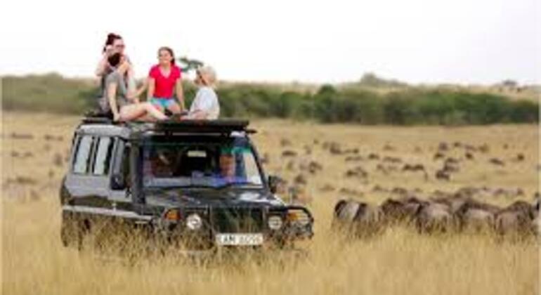 Tour zum Maasai Mara National Park