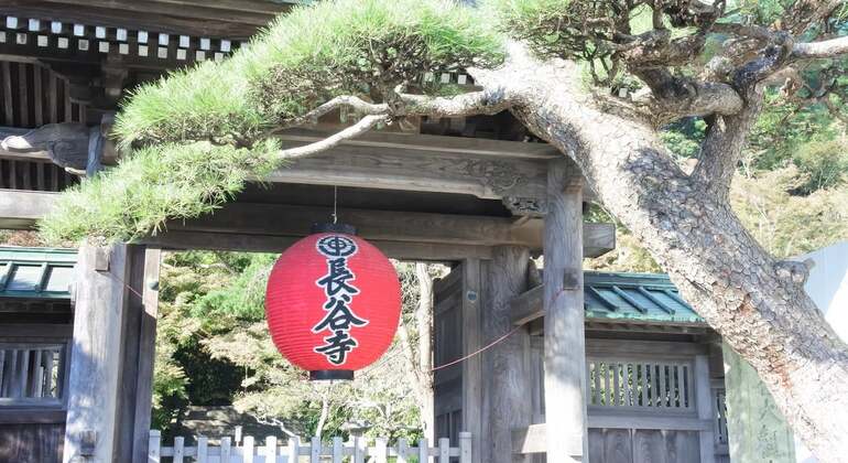 The Kamakura Full Day Tour with Eunji