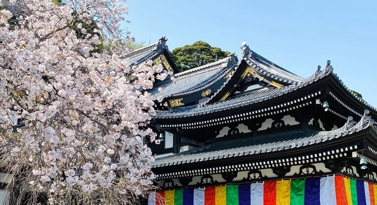 The Kamakura Full Day Tour with Eunji