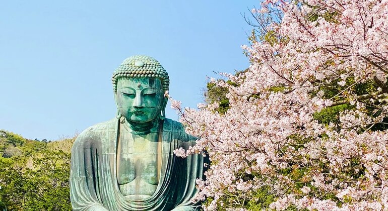 The Kamakura Full Day Tour with Eunji