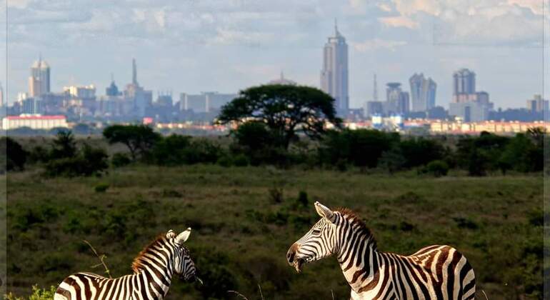 Nairobi National Park Busch-Safari
