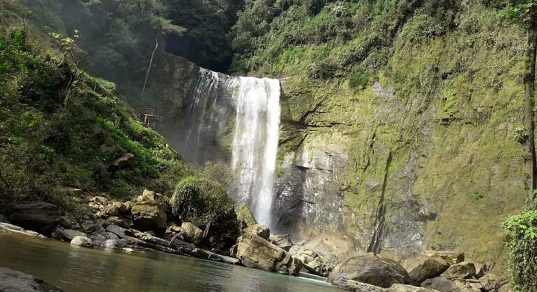 Lokales Erlebnis Wasserfall