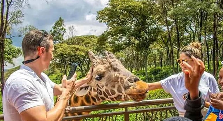 Haller Park Giraffe Tour (Eintrittsgelder, Mahlzeiten und Transfers nicht inbegriffen)