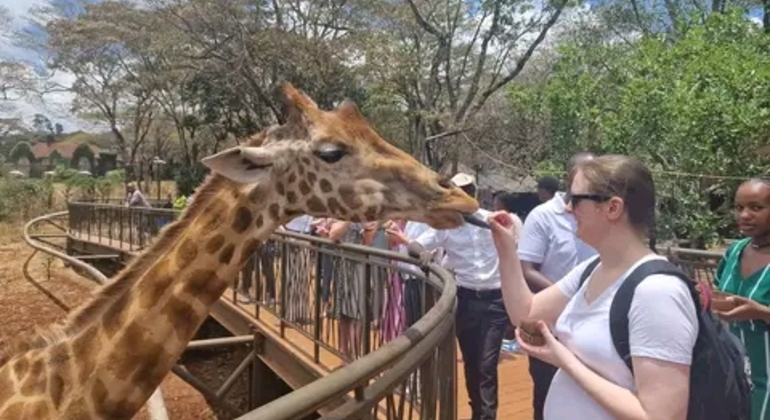 Haller Park Giraffe Tour (Eintrittsgelder, Mahlzeiten und Transfers nicht inbegriffen)