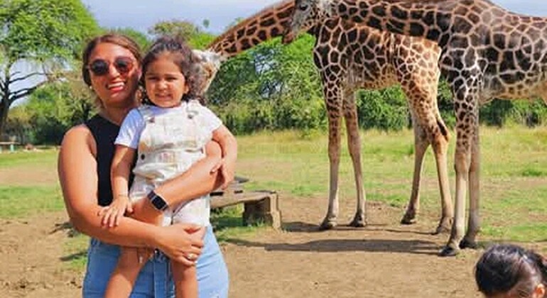 Haller Park Giraffe Tour (Eintrittsgelder, Mahlzeiten und Transfers nicht inbegriffen)