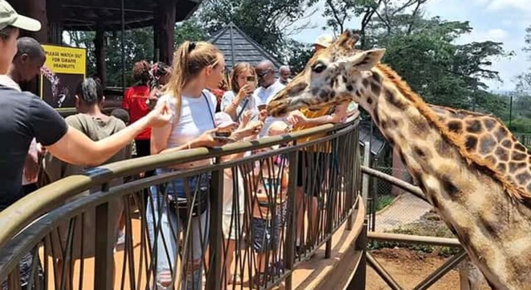 Haller Park Giraffe Tour (Eintrittsgelder, Mahlzeiten und Transfers nicht inbegriffen)