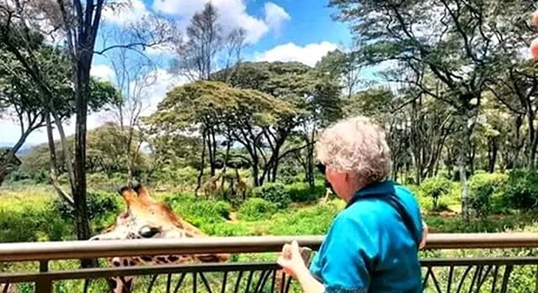 Haller Park Giraffe Tour (Eintrittsgelder, Mahlzeiten und Transfers nicht inbegriffen)