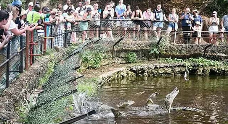 Haller Park Giraffe Tour (Eintrittsgelder, Mahlzeiten und Transfers nicht inbegriffen)