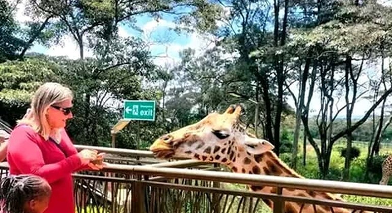 Haller Park Giraffe Tour (Eintrittsgelder, Mahlzeiten und Transfers nicht inbegriffen)