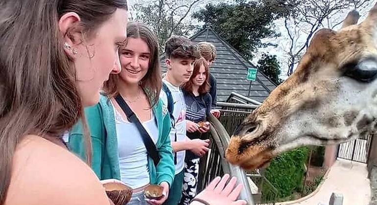 Haller Park Giraffe Tour (Eintrittsgelder, Mahlzeiten und Transfers nicht inbegriffen)