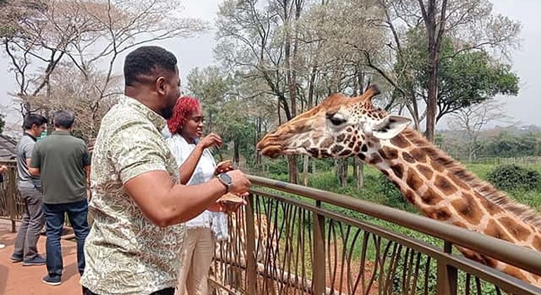 Haller Park Giraffe Tour (Eintrittsgelder, Mahlzeiten und Transfers nicht inbegriffen)