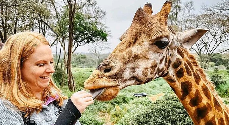 Haller Park Giraffe Tour (Eintrittsgelder, Mahlzeiten und Transfers nicht inbegriffen)