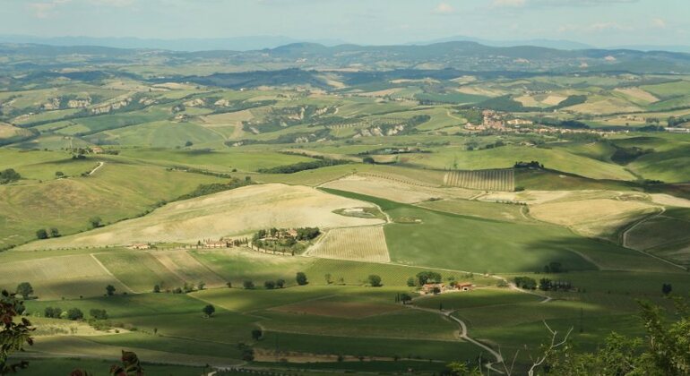 Val d'Orcia Original Wine Tour Desde Siena