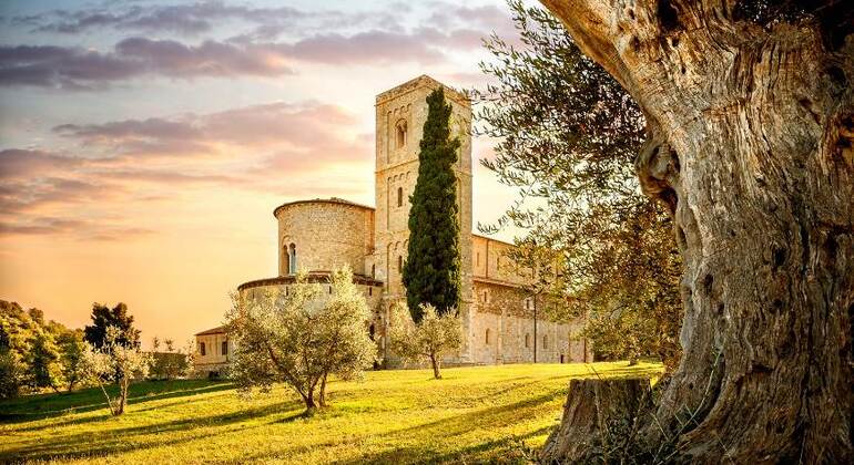 Val d'Orcia Original Wine Tour Desde Siena