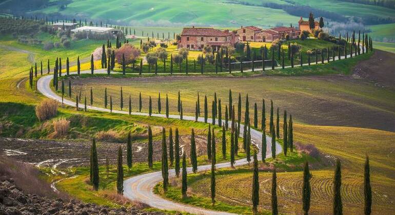 Val d'Orcia Original Wine Tour Desde Siena