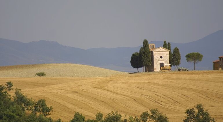 Tour enologico originale della Val d'Orcia da Firenze