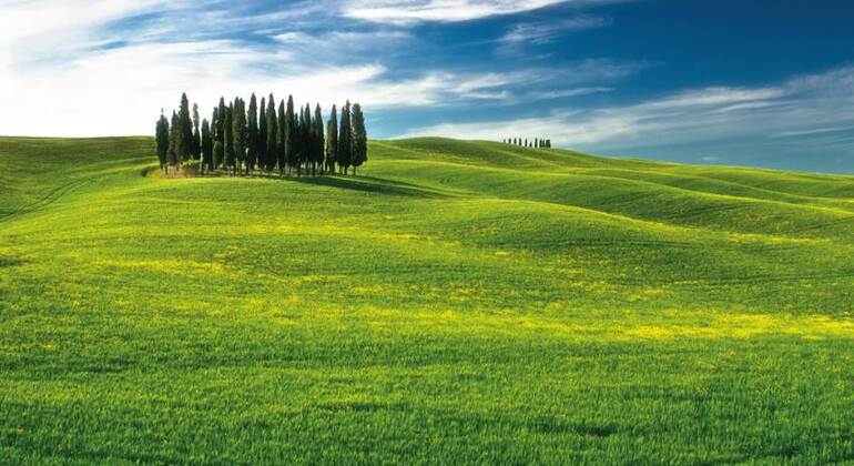 Tour enologico originale della Val d'Orcia da Firenze