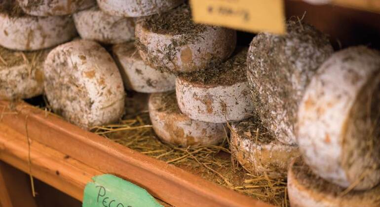 Tour enologico originale della Val d'Orcia da Firenze