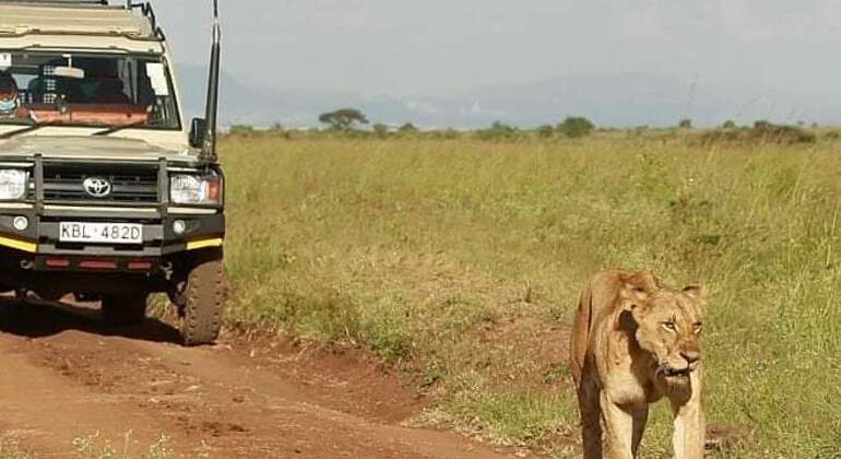 Safari por el Parque de Nairobi