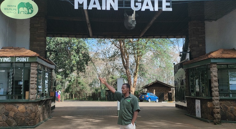 Safari por el Parque de Nairobi