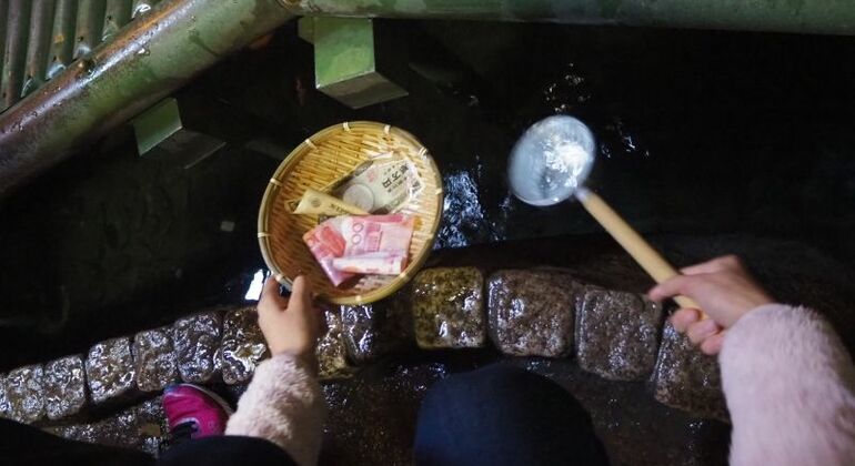 Hiking Tour in Kamakura With Eunji