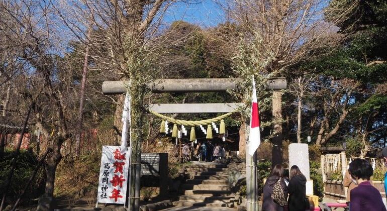 Hiking Tour in Kamakura With Eunji