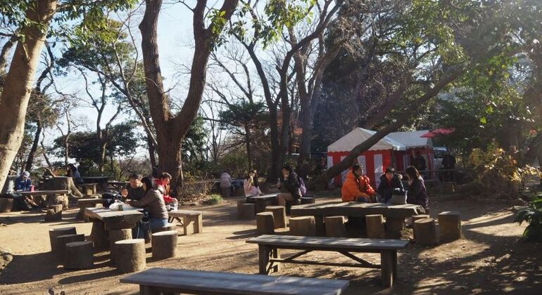 Hiking Tour in Kamakura With Eunji