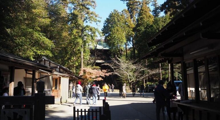 Hiking Tour in Kamakura With Eunji