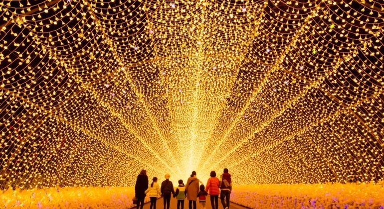 Amusement Park & Flower Park at Mie Nagashima - Free Tour