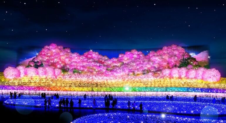 Amusement Park & Flower Park at Mie Nagashima - Free Tour
