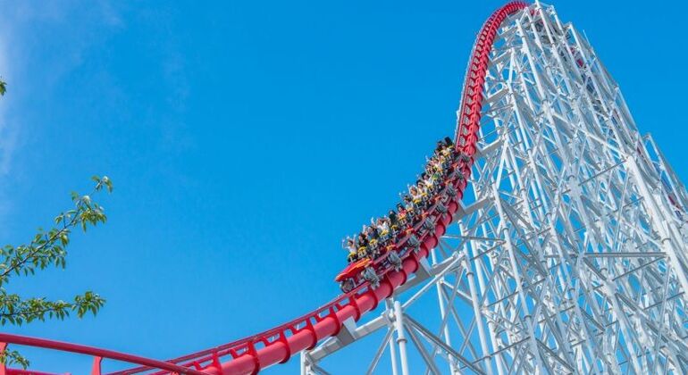 Amusement Park & Flower Park at Mie Nagashima - Free Tour