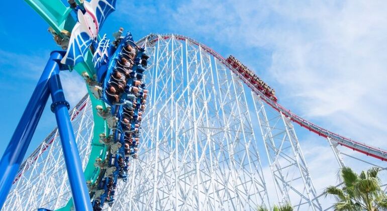 Amusement Park & Flower Park at Mie Nagashima - Free Tour