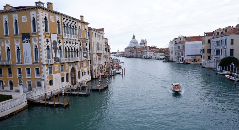 Venecia Tour: Plaza de San Marco y Centro Histórico