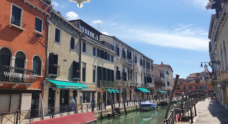 Venecia Tour: Plaza de San Marco y Centro Histórico