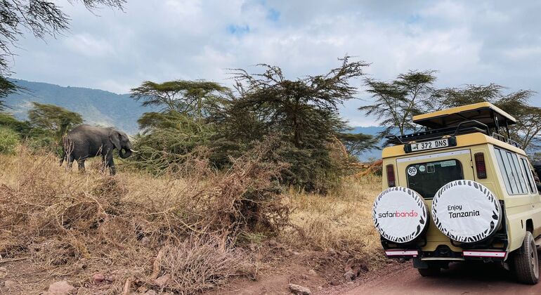 Safari de dos días en albergue en Tanzania por Tarangire y Ngorongoro