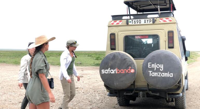 Excursión asequible de un día al Parque Nacional de Tarangire