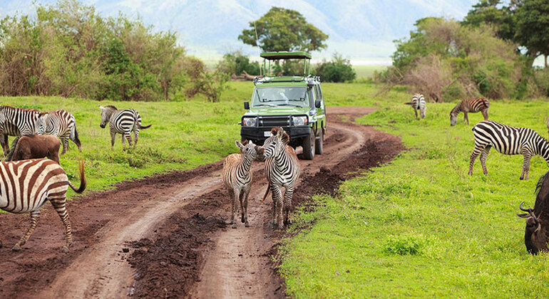 Excursión asequible de un día al Parque Nacional de Arusha
