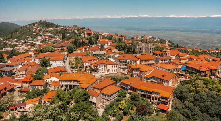 De Tbilisi: Viagem guiada de um dia a Kakheti e Sighnaghi com vinho