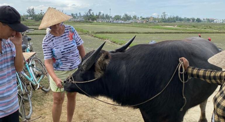 Radfahren, Büffel und Korbboot-Tour in Hoi An