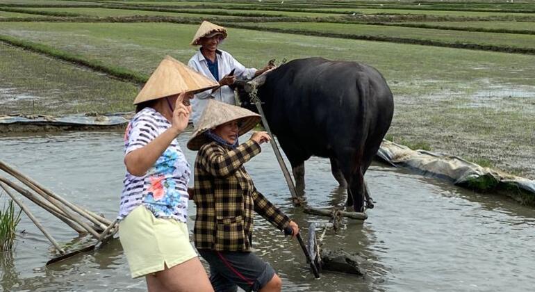 Radfahren, Büffel und Korbboot-Tour in Hoi An