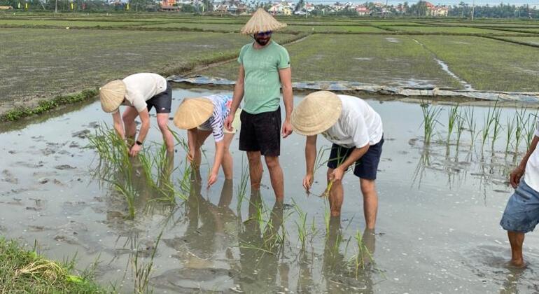 Radfahren, Büffel und Korbboot-Tour in Hoi An