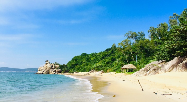 Descubrir la isla de Cham en lancha rápida