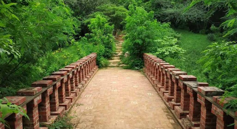 Explore the Ordinary & Unseen of Jaipur