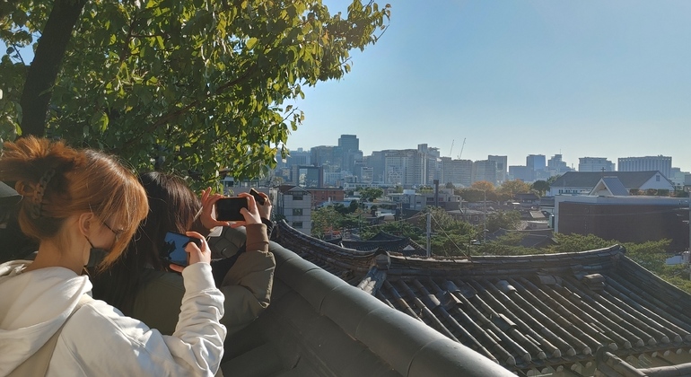 Seoul Private Tour Zip & Dip