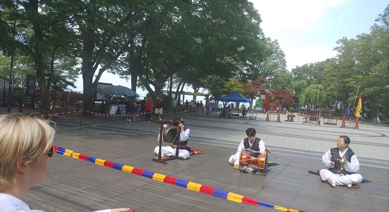 Seoul Private Tour Zip & Dip