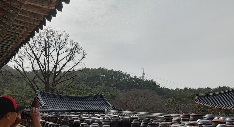 Asiatische Wahrsagekarte Saju in Seoul